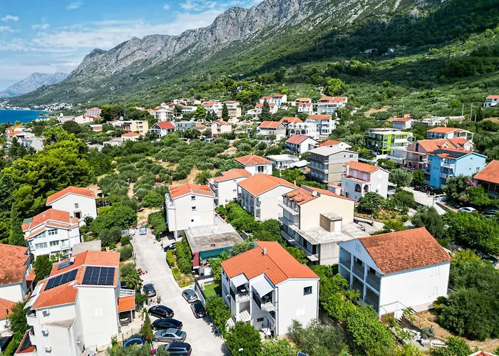 Fly Up Mediterranean